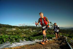 BIB: 9164
                            <button type="button" onclick="openModal(19122216)" class="btn btn-primary btn-sm float-right btn-popup" data-toggle="modal" data-target=".modal-high-quality">
                        <i class="fas fa-shopping-cart"></i> Add to Cart
                    </button>
                                            <button type="button" onclick="isThisMe(19122216, true)" class="btn btn-success btn-sm float-right btn-popup btn-isme hidden" data-toggle="tooltip" data-placement="bottom" title="นี่คือรูปของคุณใช่ไหม คลิกที่นี่เพื่อเอาเข้าอัลบั้ม">
                        <i class="fas fa-plus"></i> Add to album
                    </button>
                    <button type="button" onclick="isThisMe(19122216, false)" class="btn btn-warning btn-sm float-right btn-popup btn-isnotme hidden">
                        <i class="fas fa-ban"></i> Remove from album
                    </button>